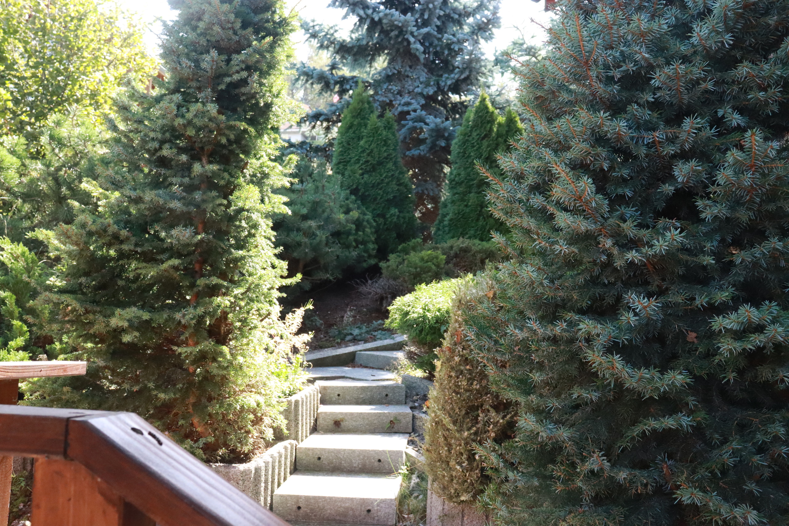 Photo 20