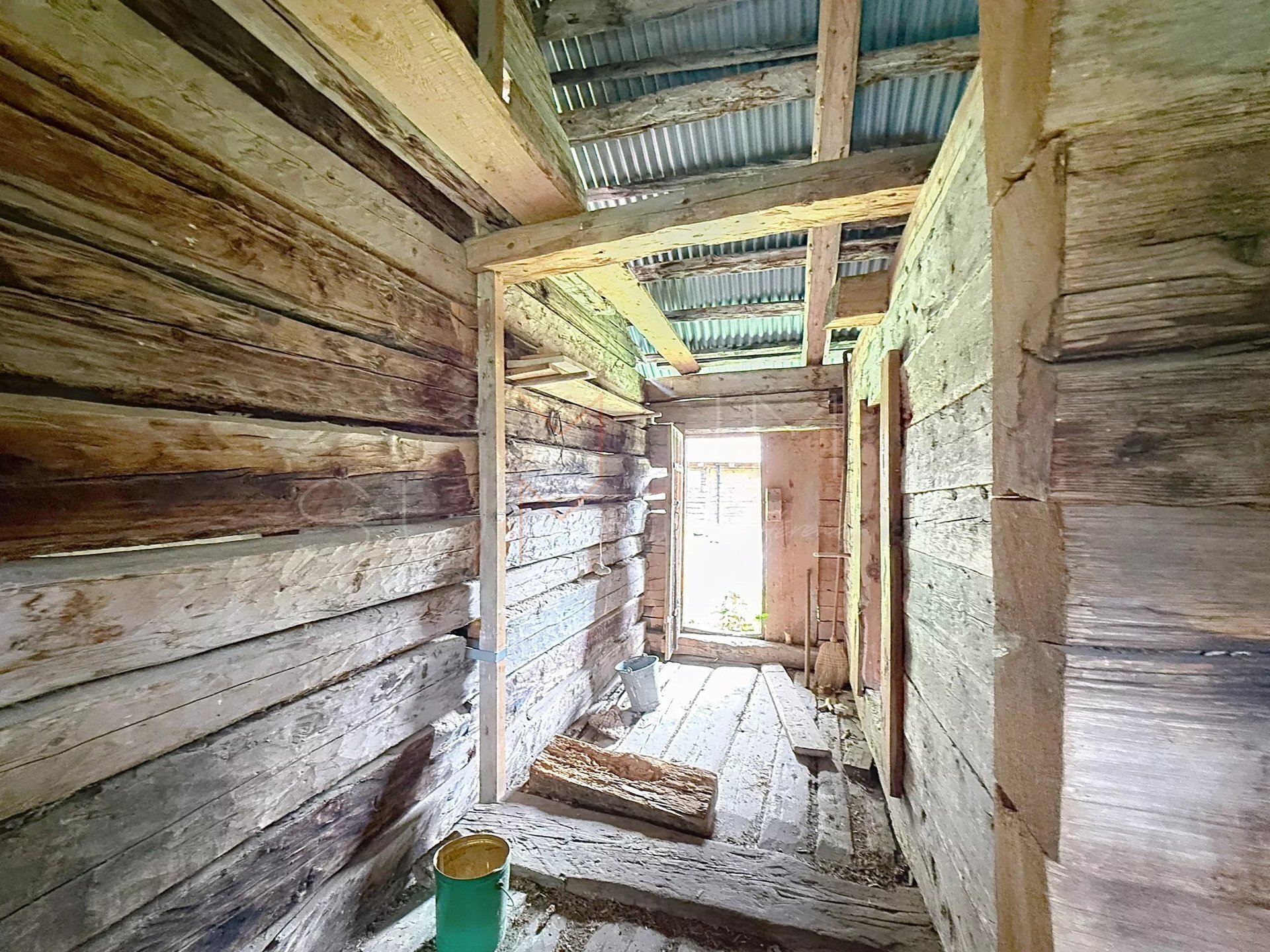 Picture 6