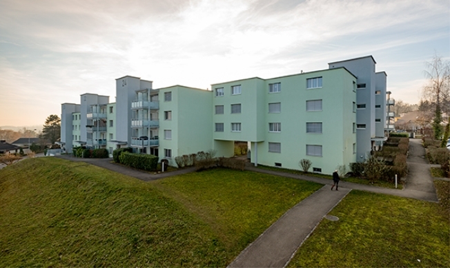 Immagine di copertina