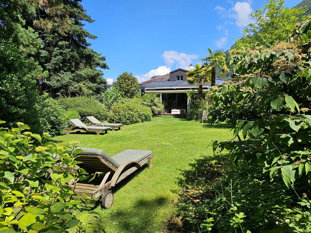 Immagine di copertina