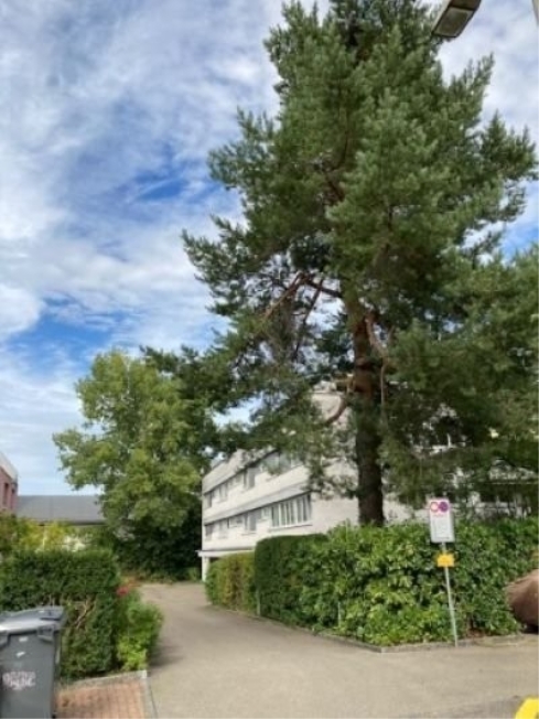 Firstview