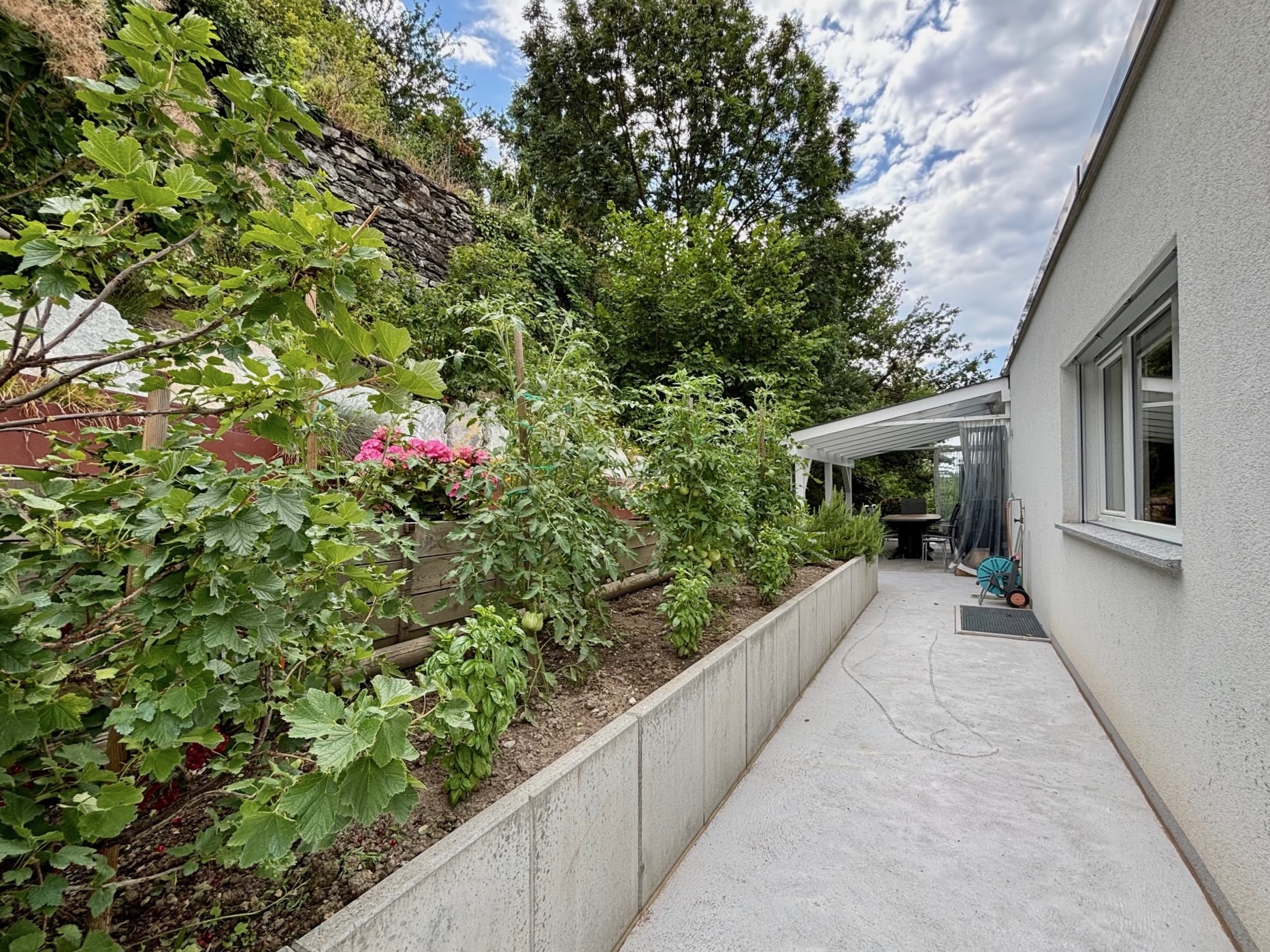 Exterior view 6