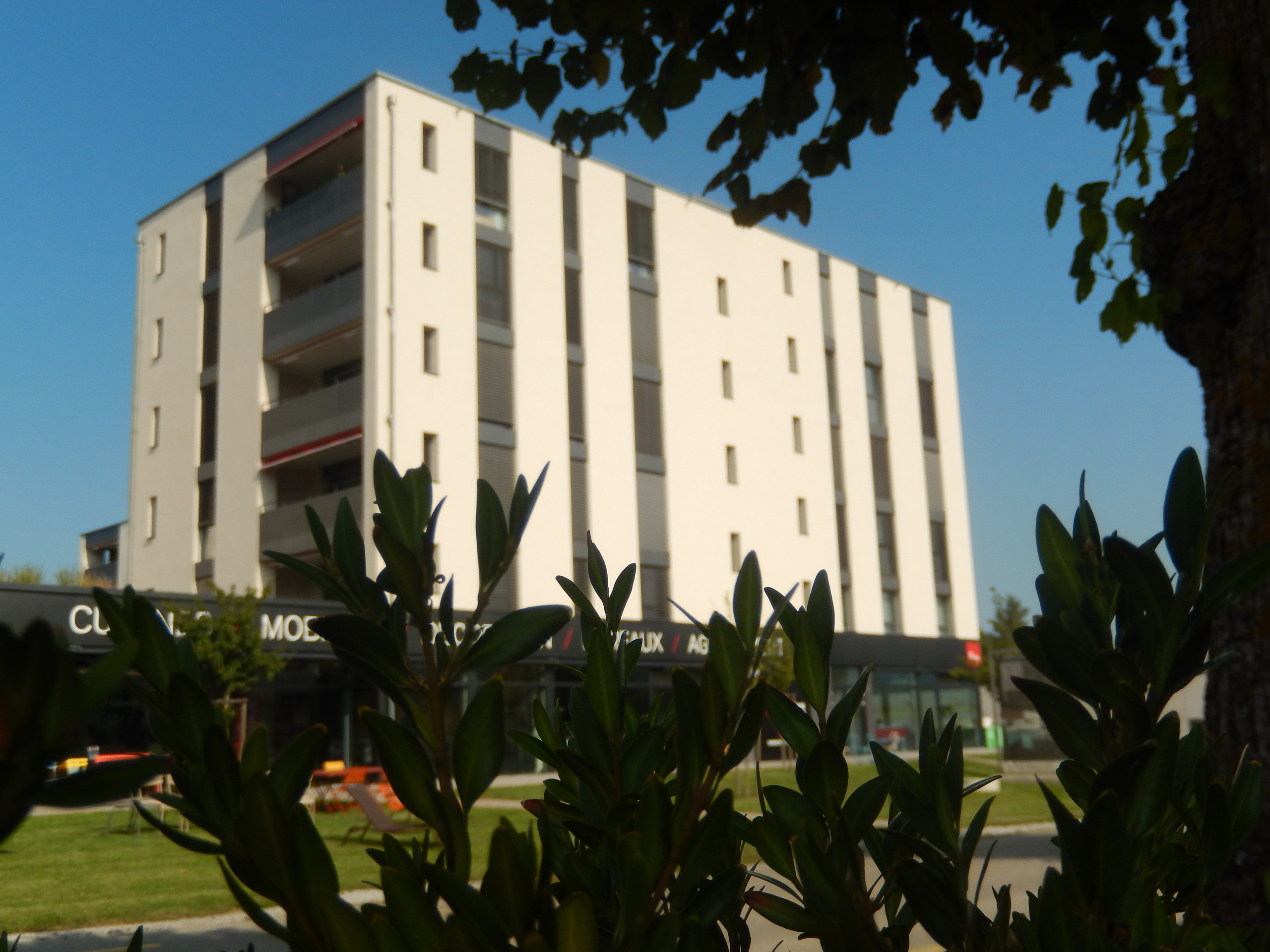 Immagine di copertina