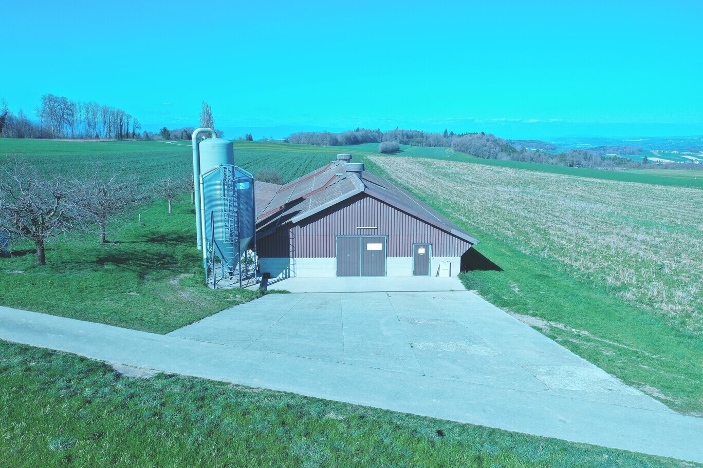 halle à poulets halle à poulets