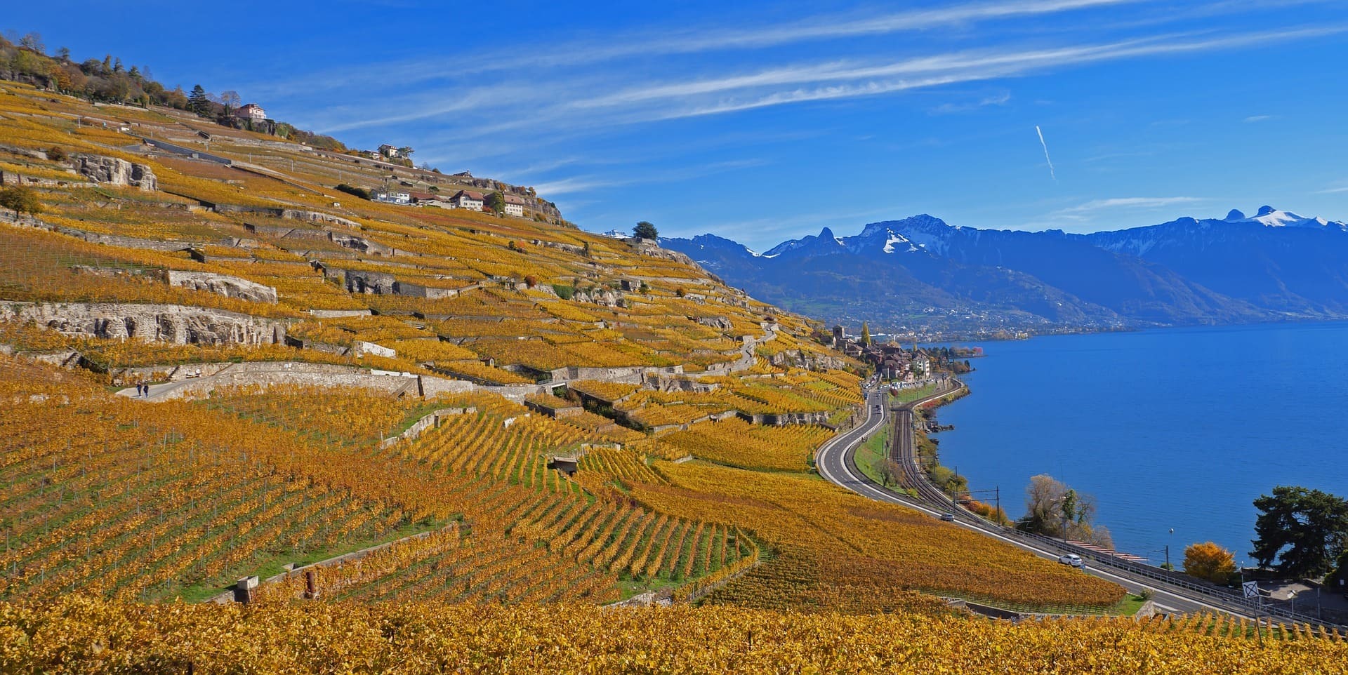 Lavaux