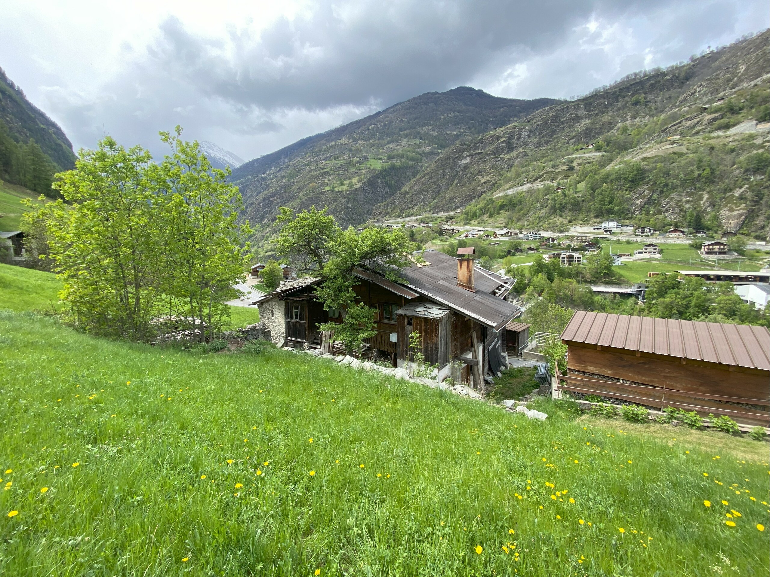 Immagine di copertina