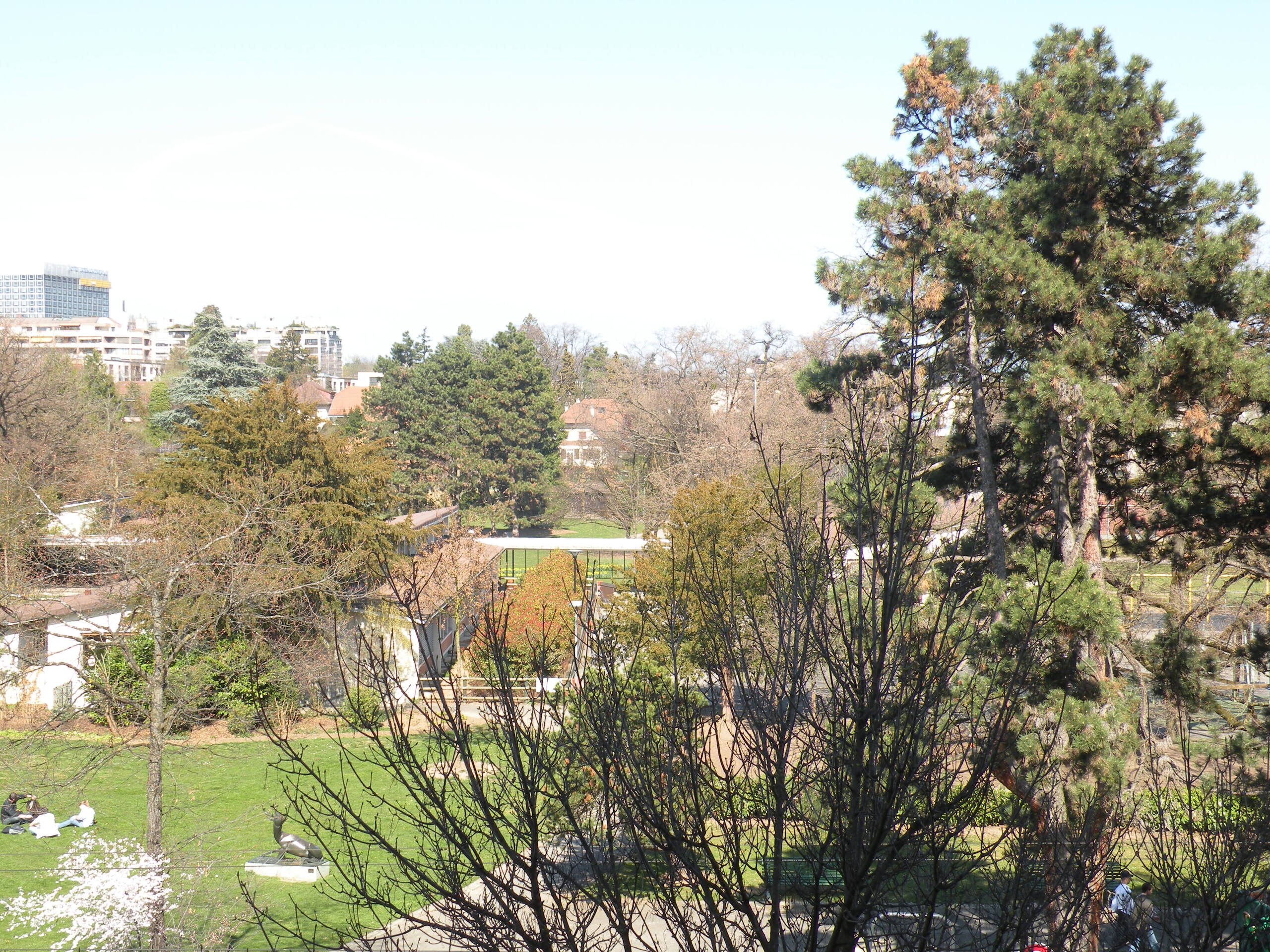 Firstview
