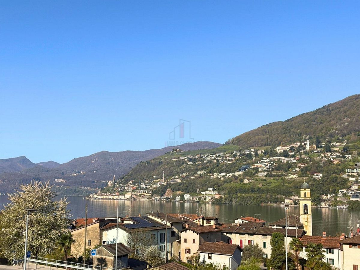 Immagine di copertina