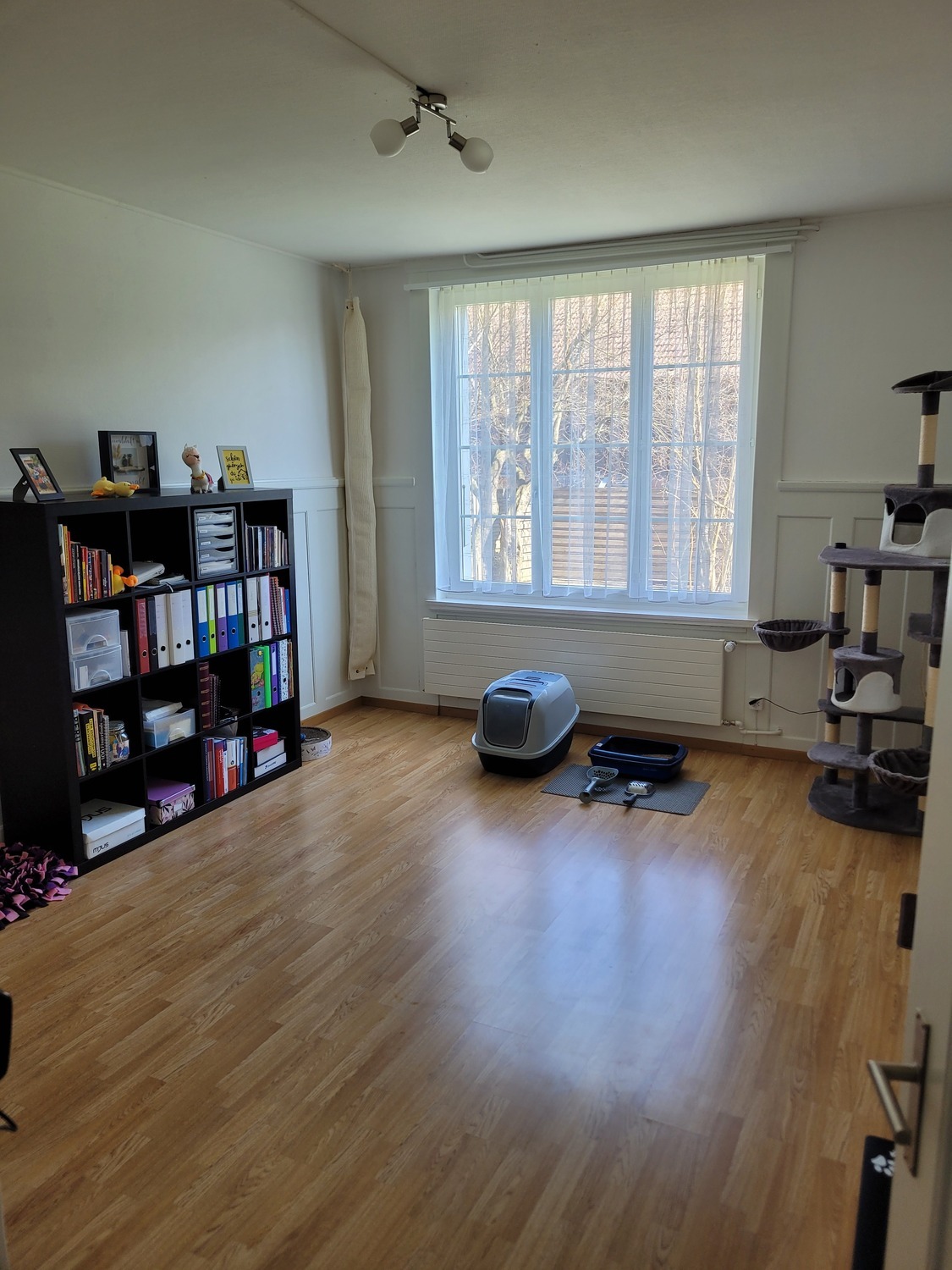 Photo 6