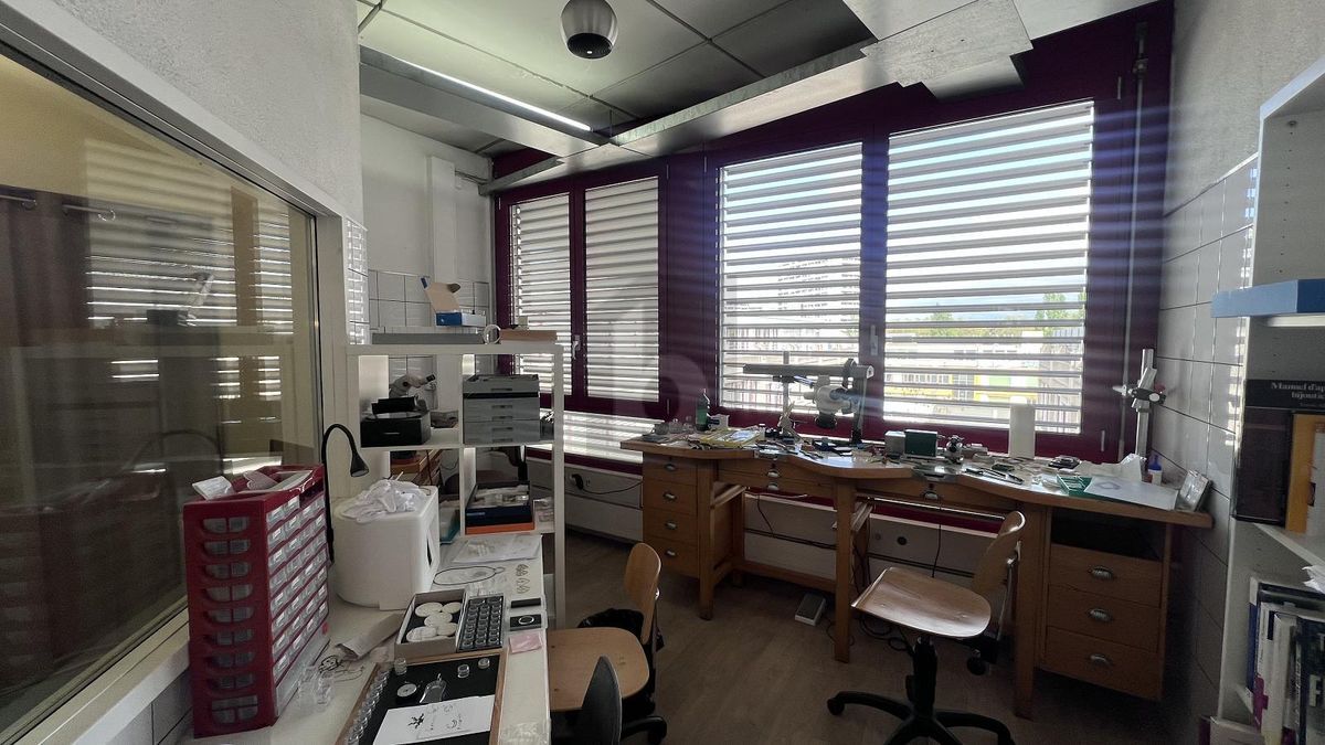 Foto 3