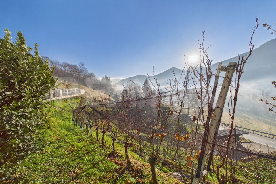 Premier coup d'oeil 1