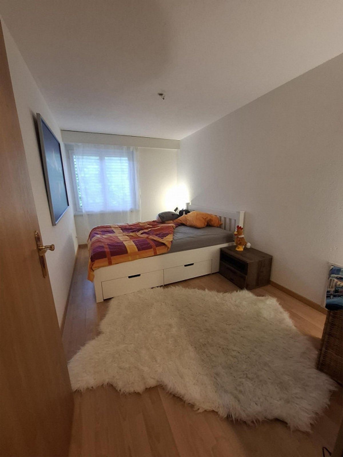 Picture 6