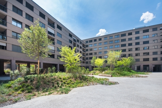 Immagine di copertina