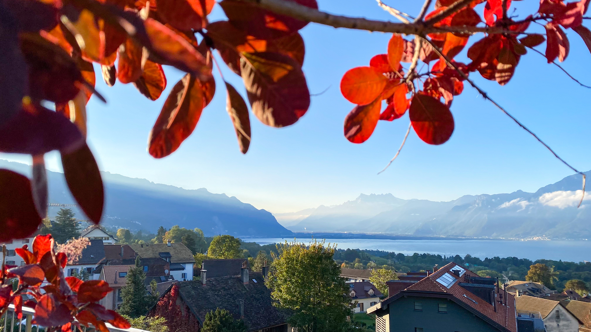 Projet immobilier à St-légier avec appartement à vendre, l'environnement