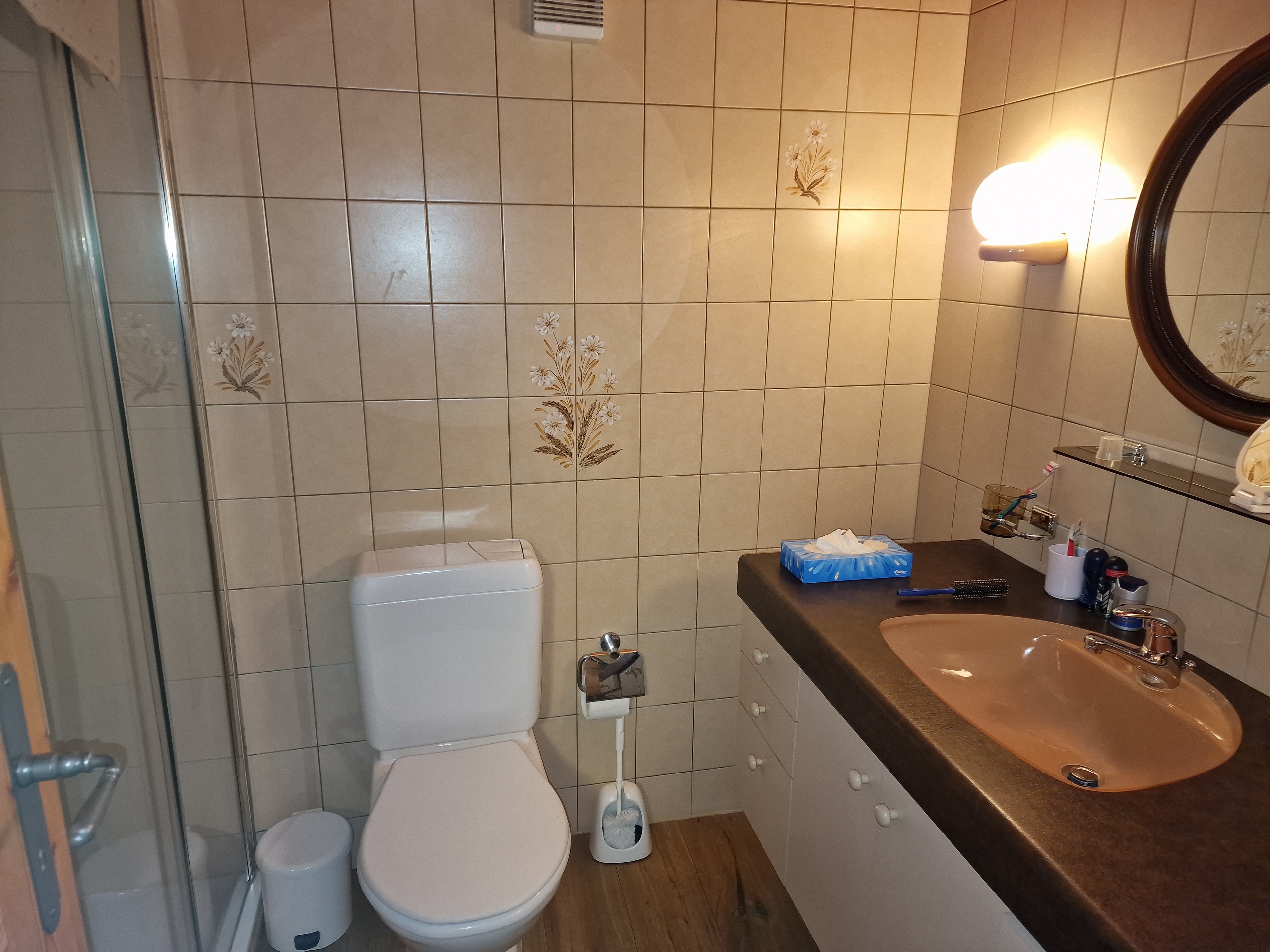 Salle de douche-wc-lavabo au rez inférieur Salle de douche-wc-lavabo au rez inférieur