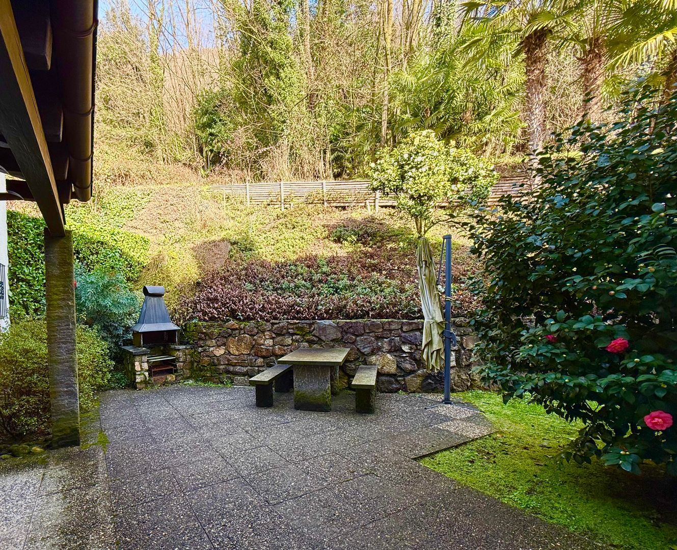 Foto 11
