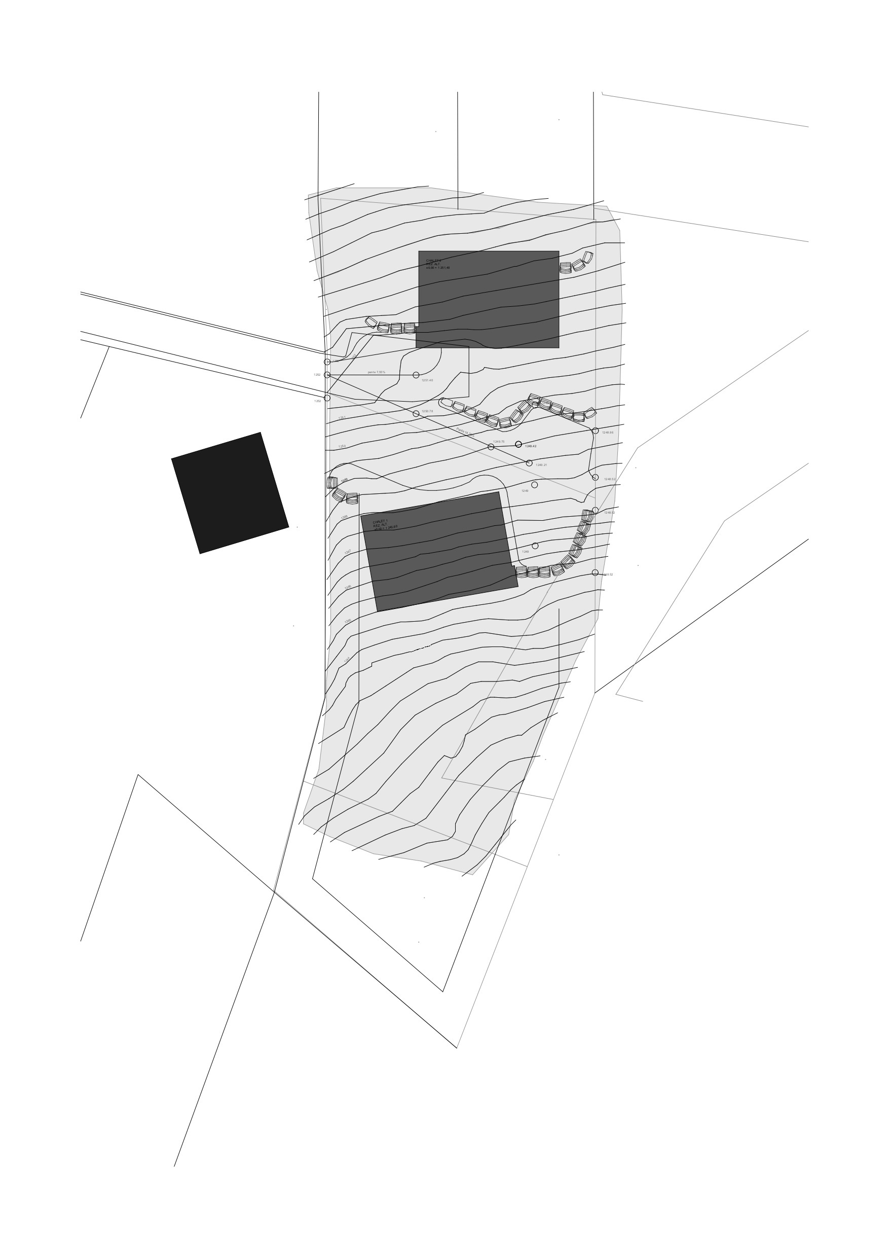 Situation du chalet (au sud) Situation du chalet (au sud)