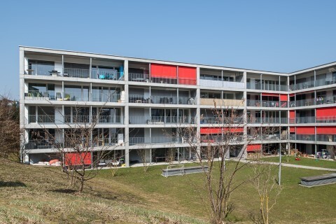Picture 1