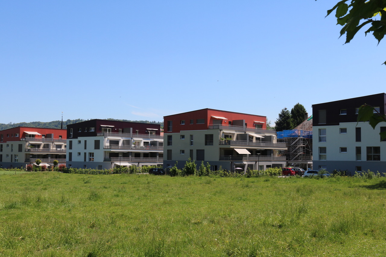 Premier coup d'oeil 1