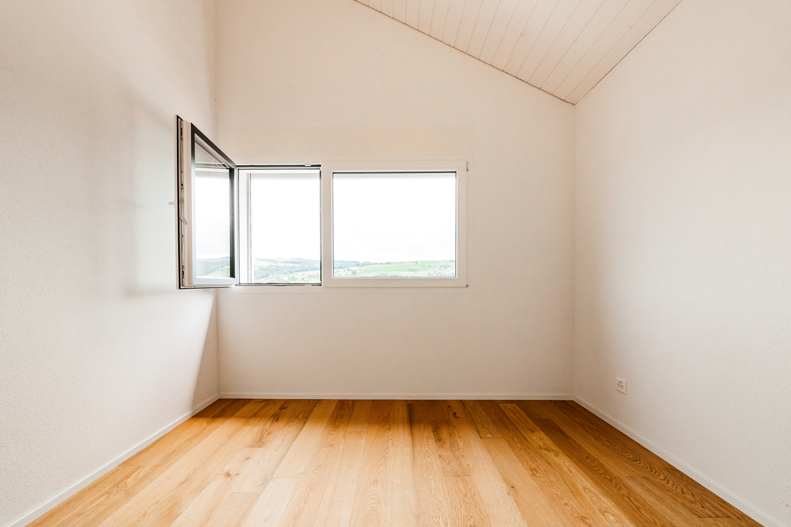 Interior view 5
