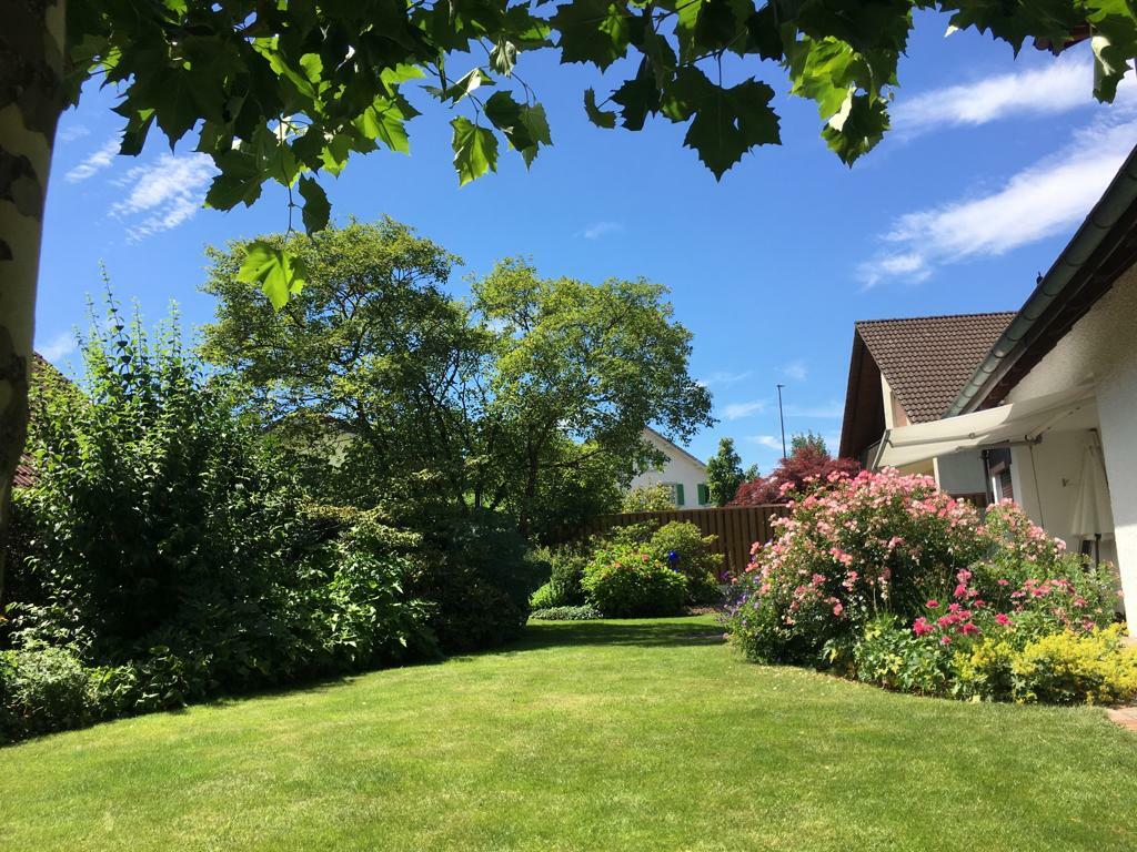 Liebevoll angelegter Garten
