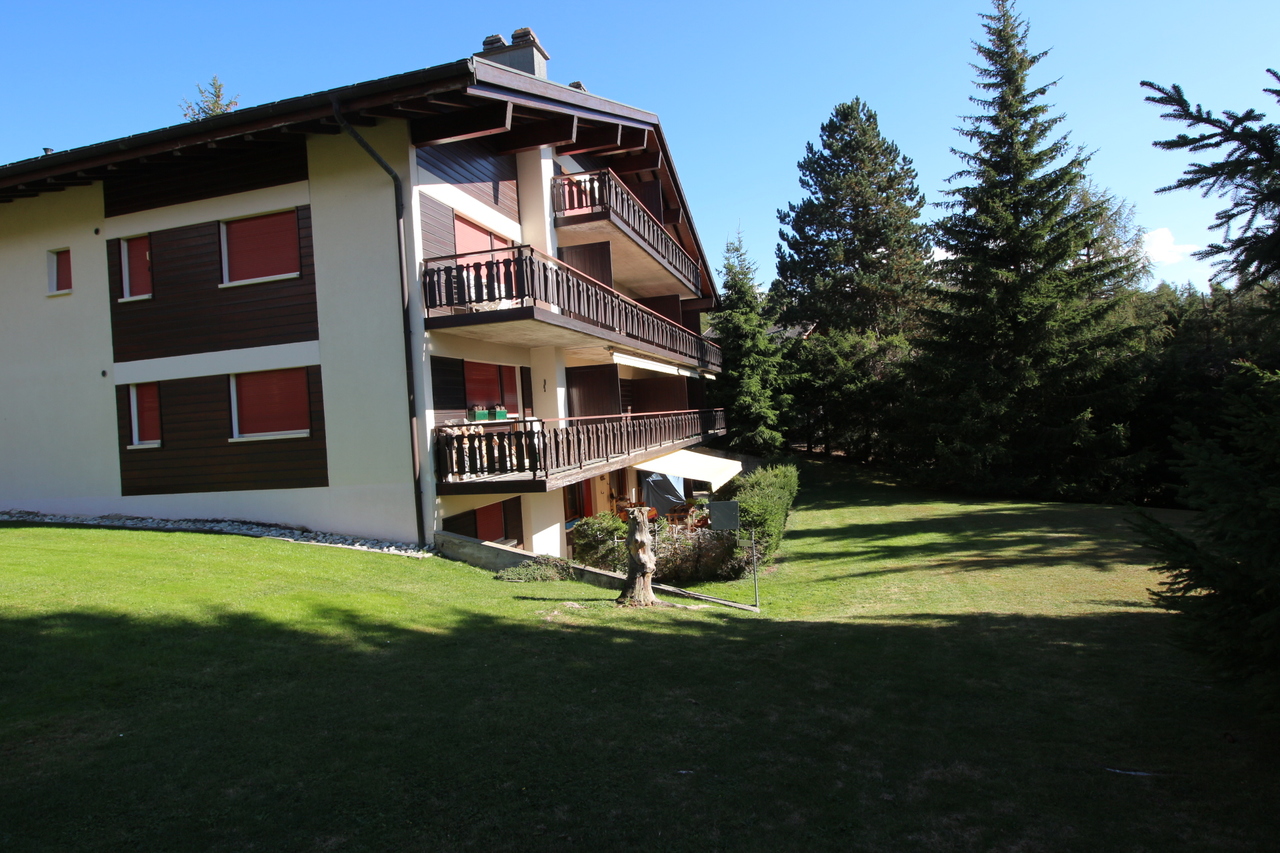 Photo 9