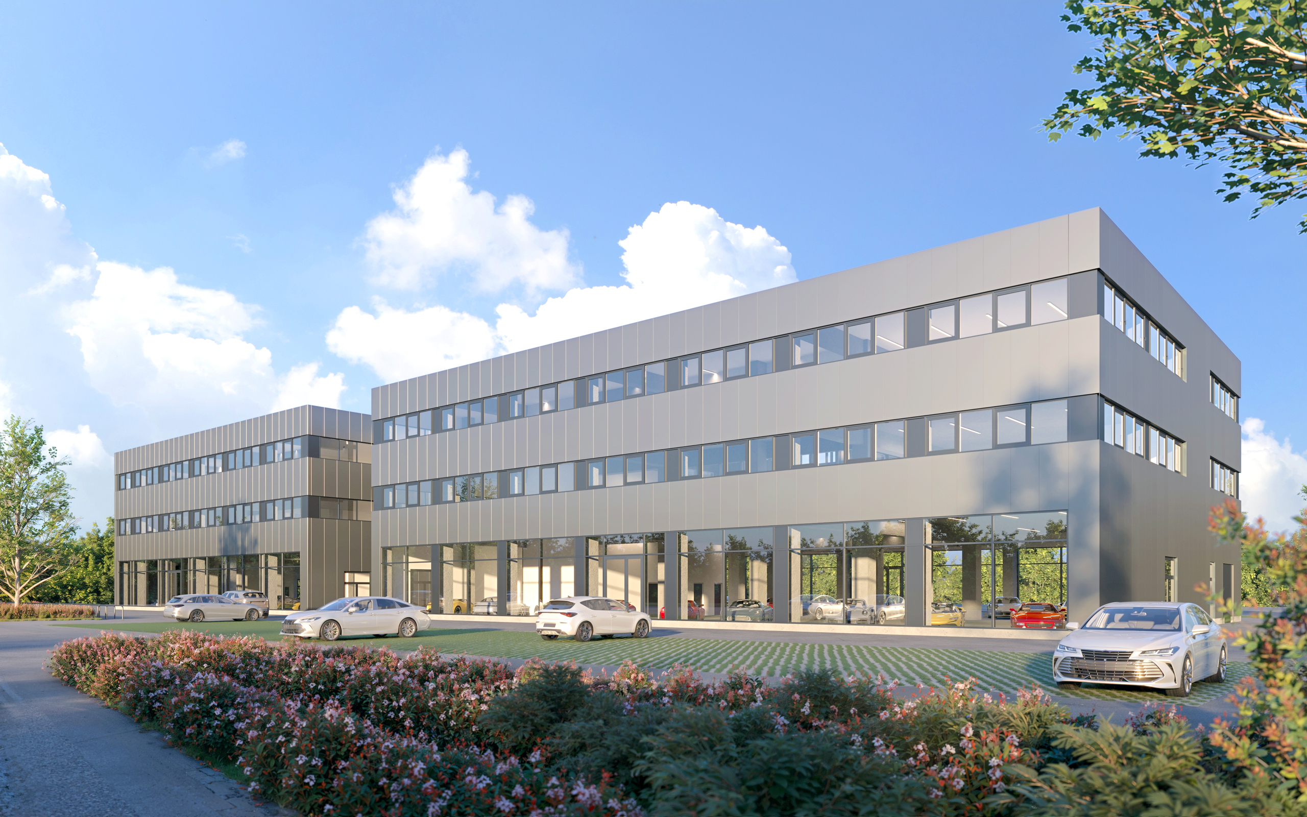 Immagine di copertina