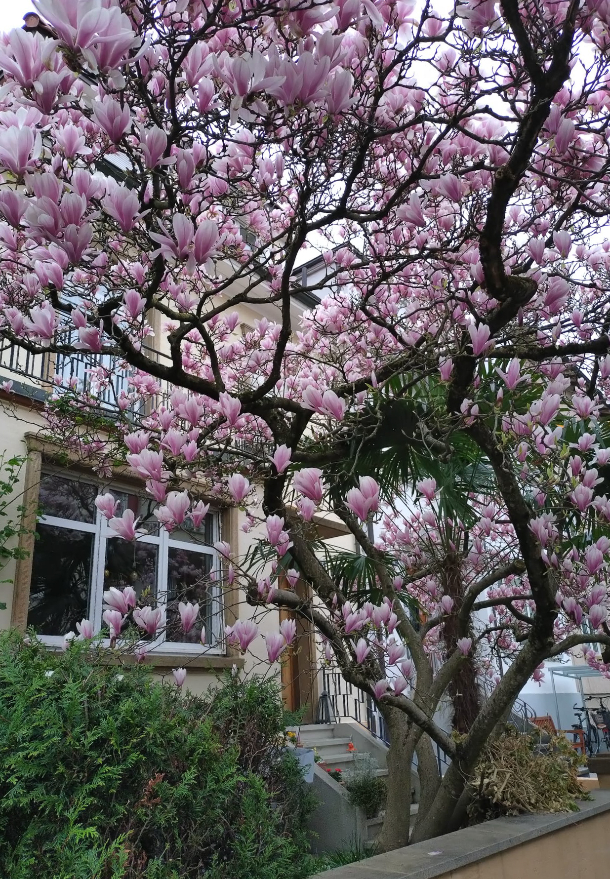 Vue extérieure 2