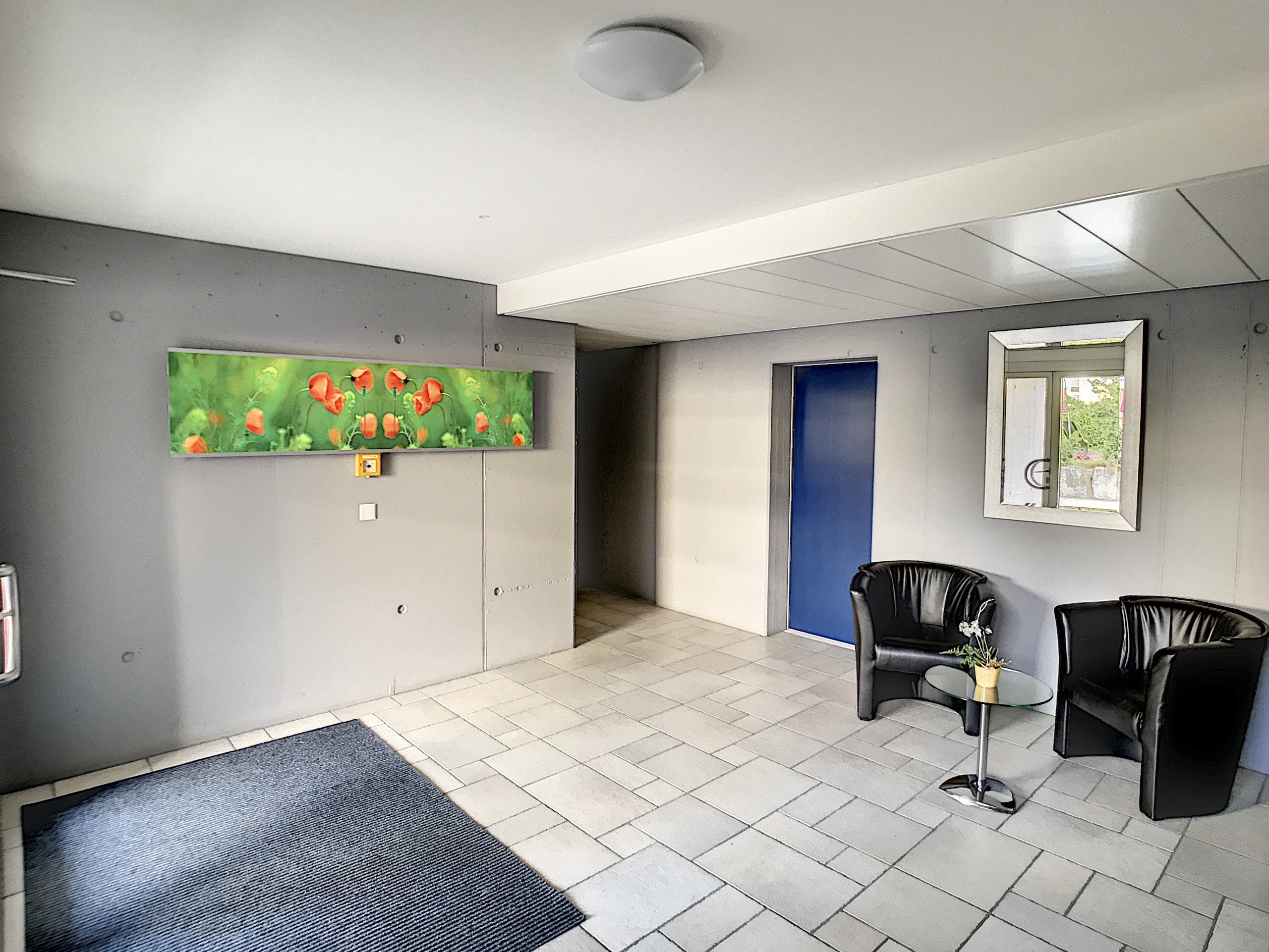 Hall d'entrée immeuble Hall d'entrée immeuble