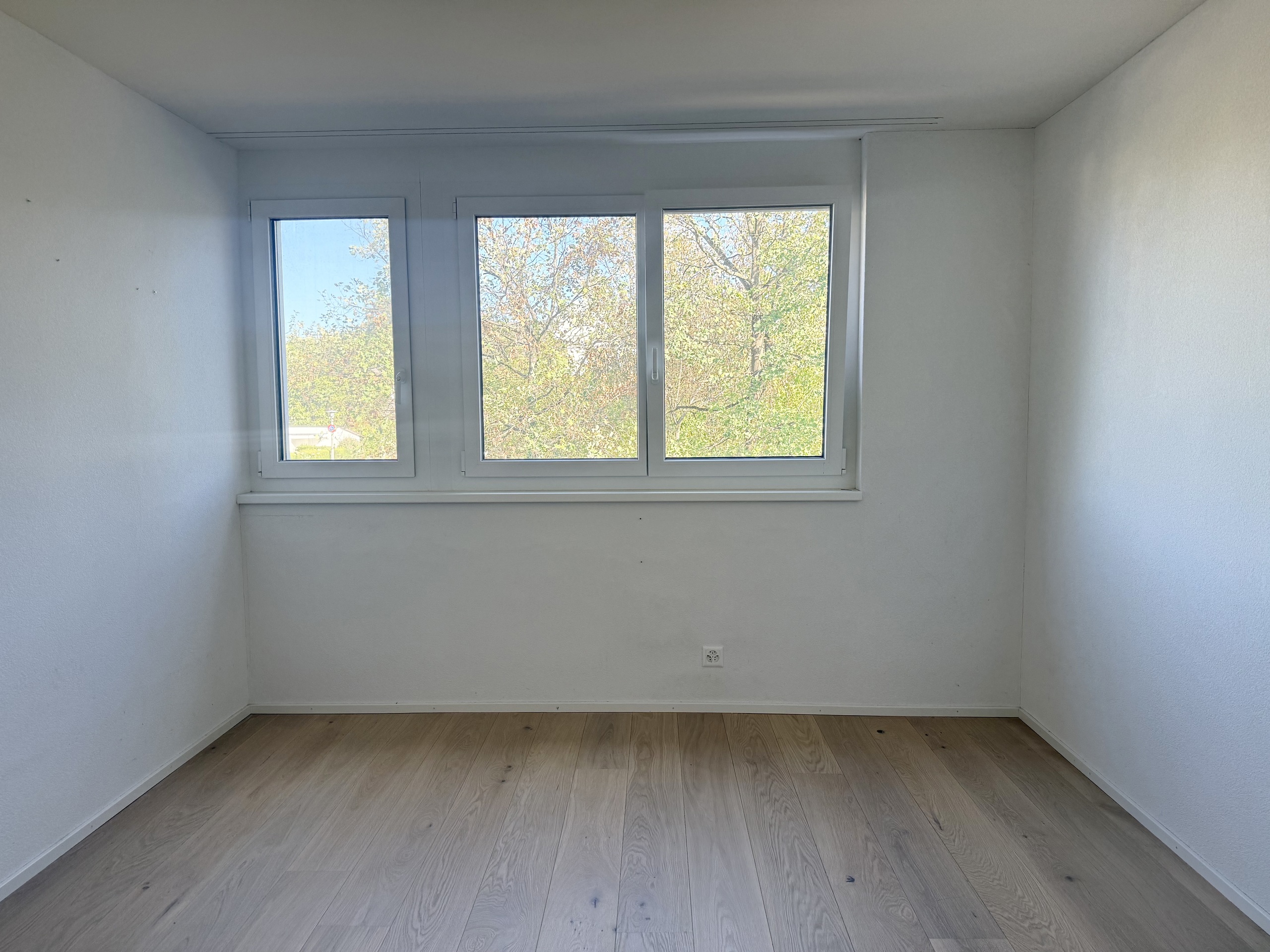 Interior view 5