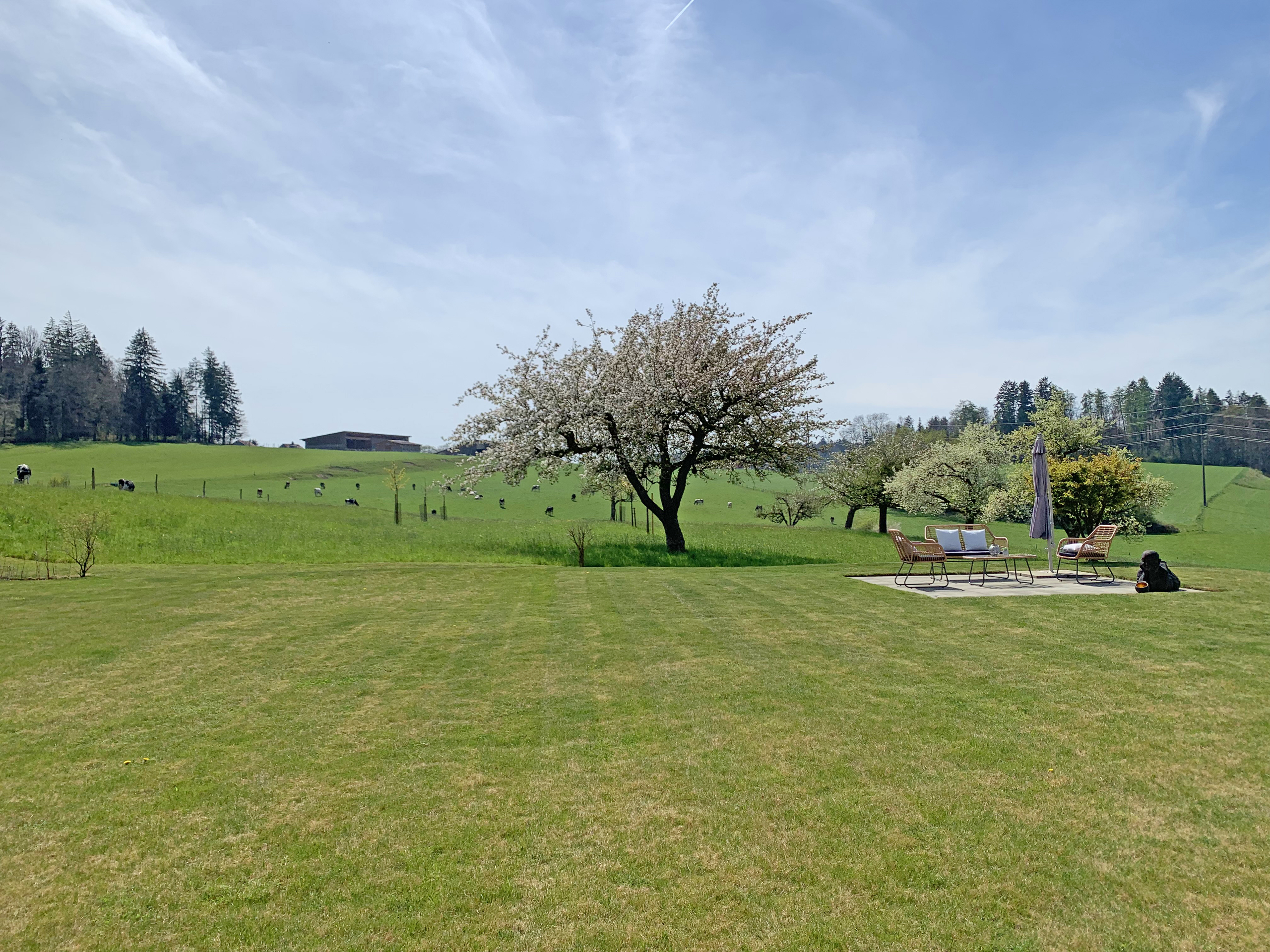 Prise de vue villa 38C