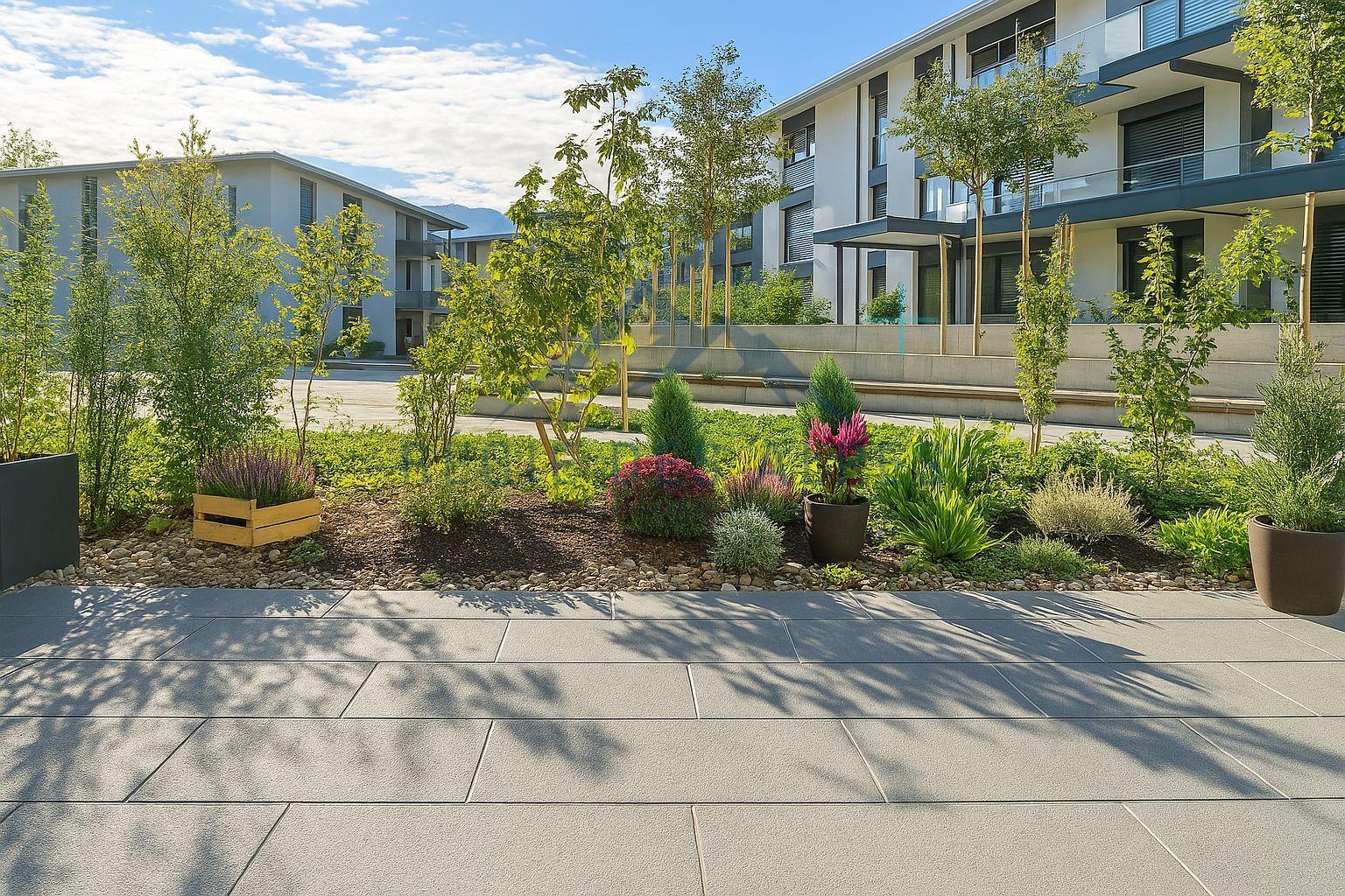 Premier coup d'oeil 2