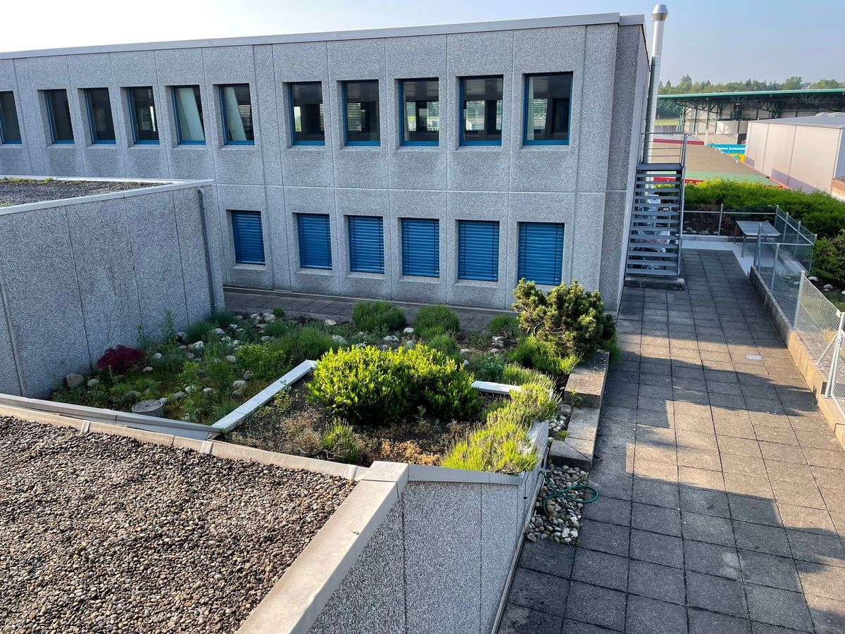 Foto 2