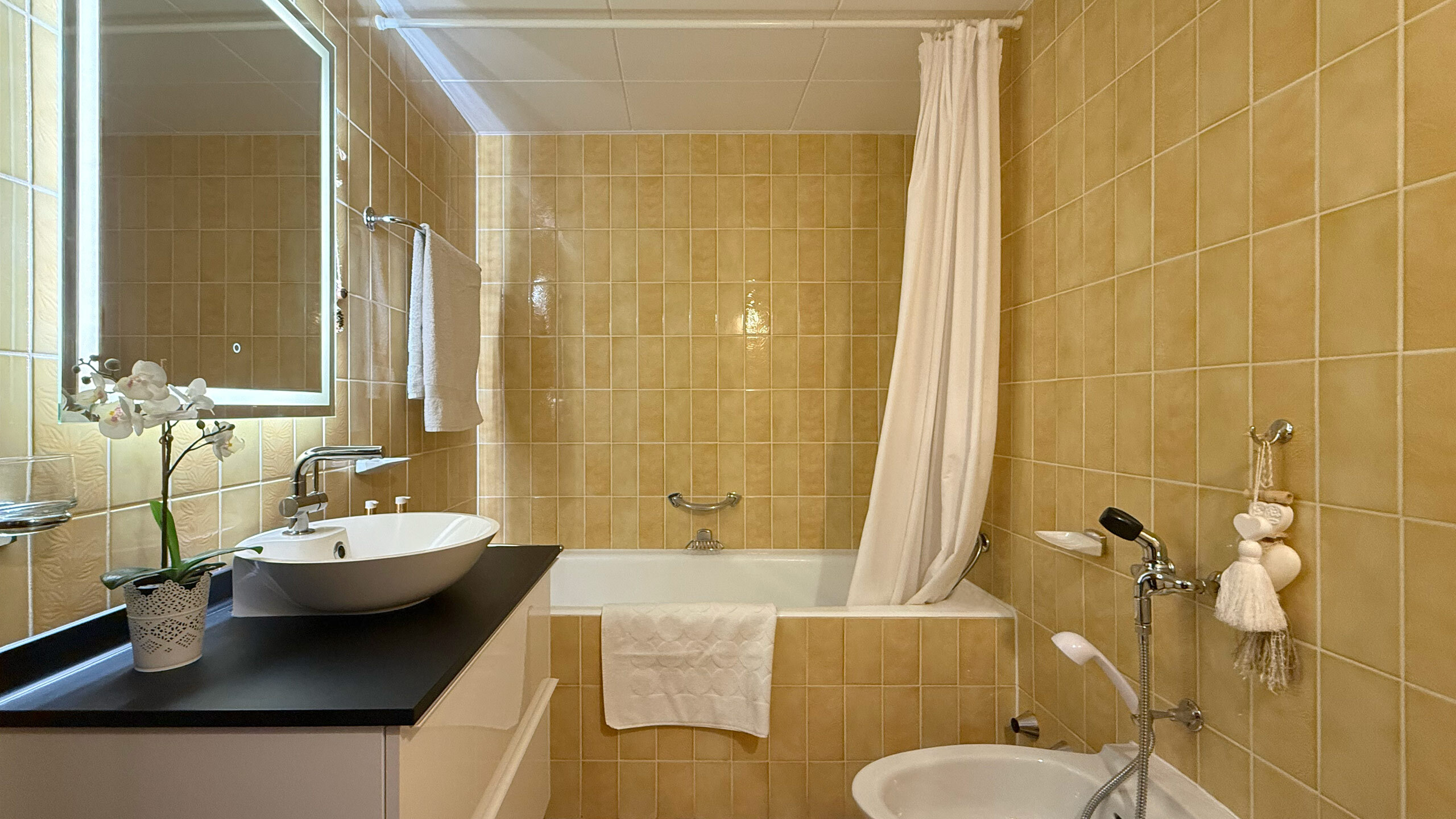 Salle de bain avec WC et lavabo