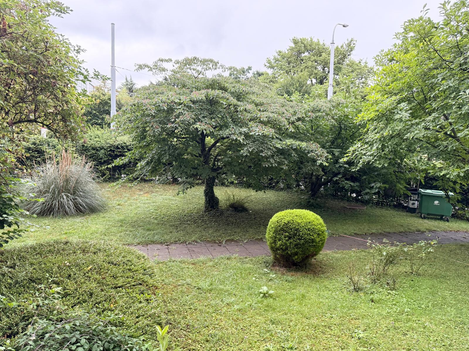 Foto 12