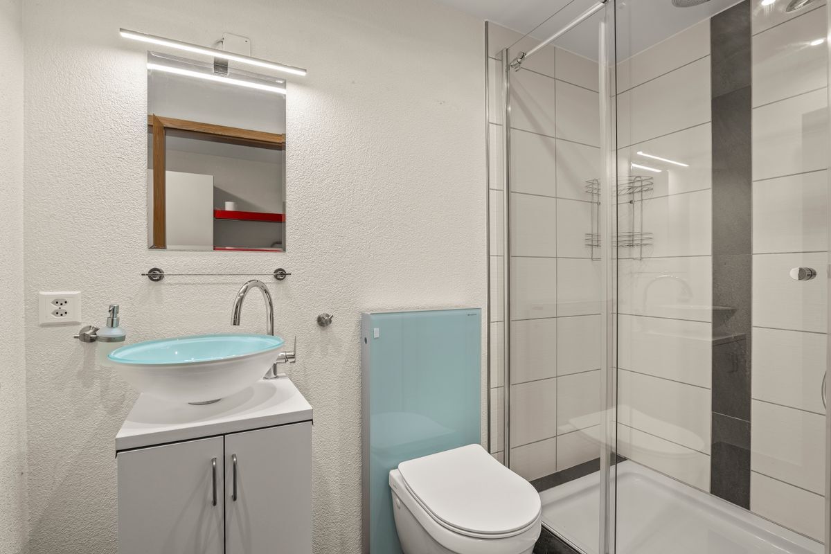 Nasszelle mit Lavabo, Dusche und WC Marke Geberit Nasszelle mit Lavabo, Dusche und WC Marke Geberit