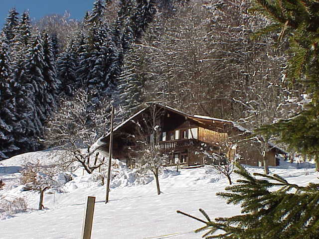 Photo 4