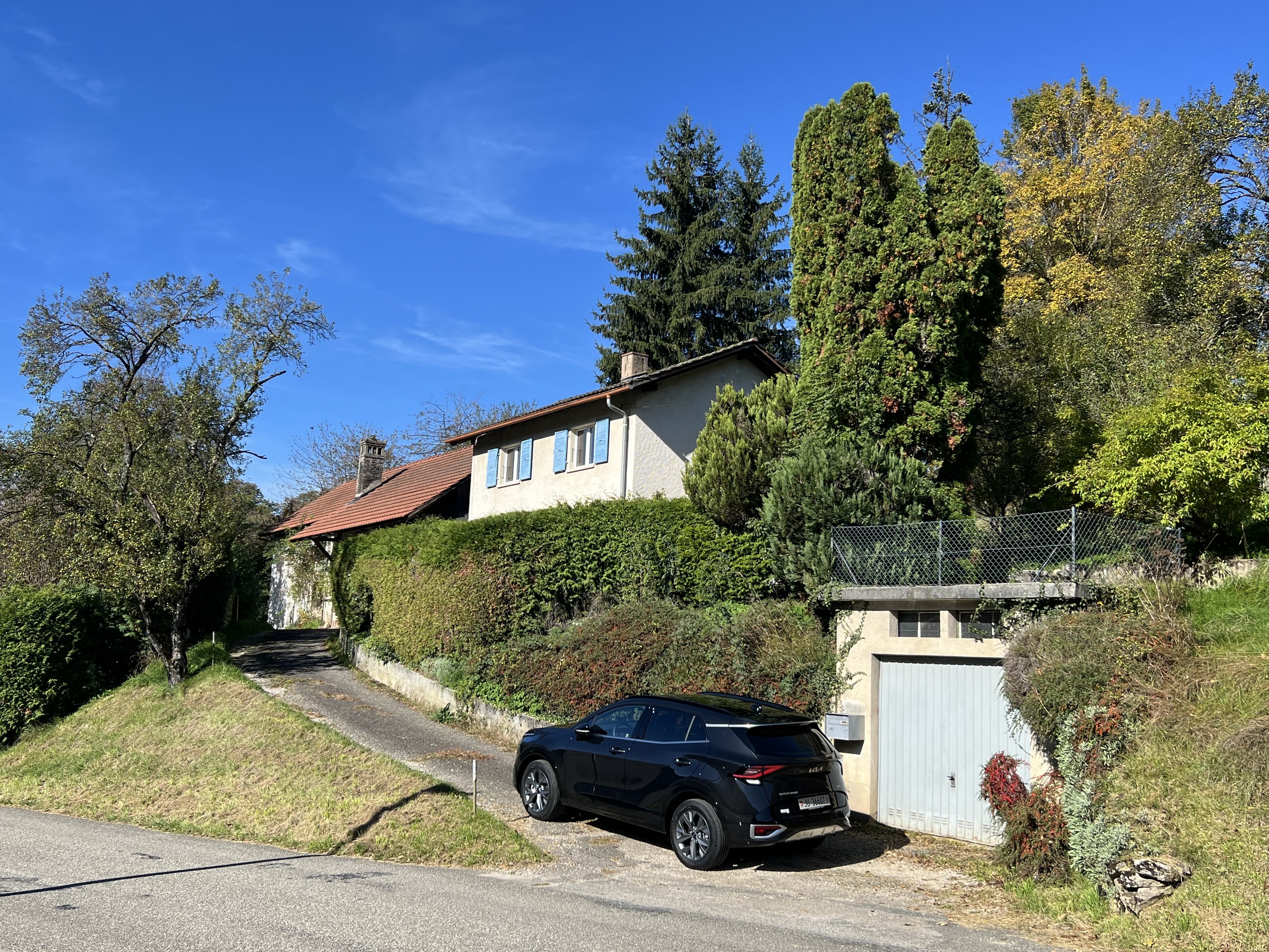 Firstview