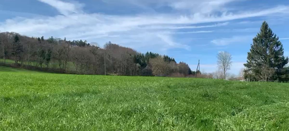 Premier coup d'oeil