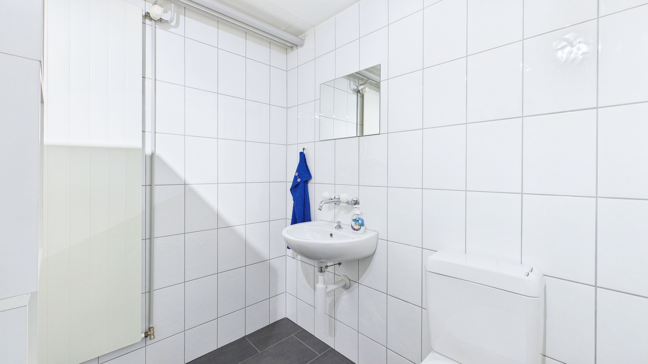 WC UG, Anschluss für Dusche vorhanden WC UG, Anschluss für Dusche vorhanden