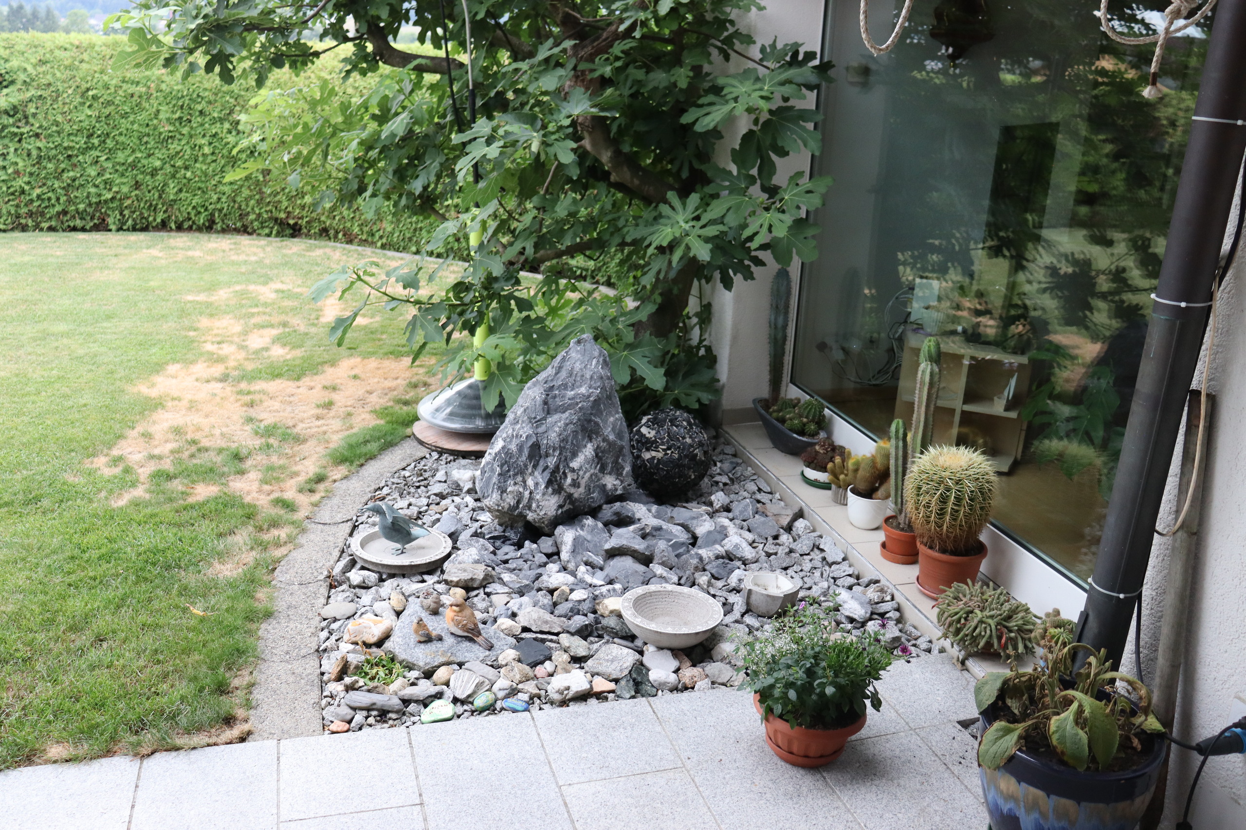 Foto 12