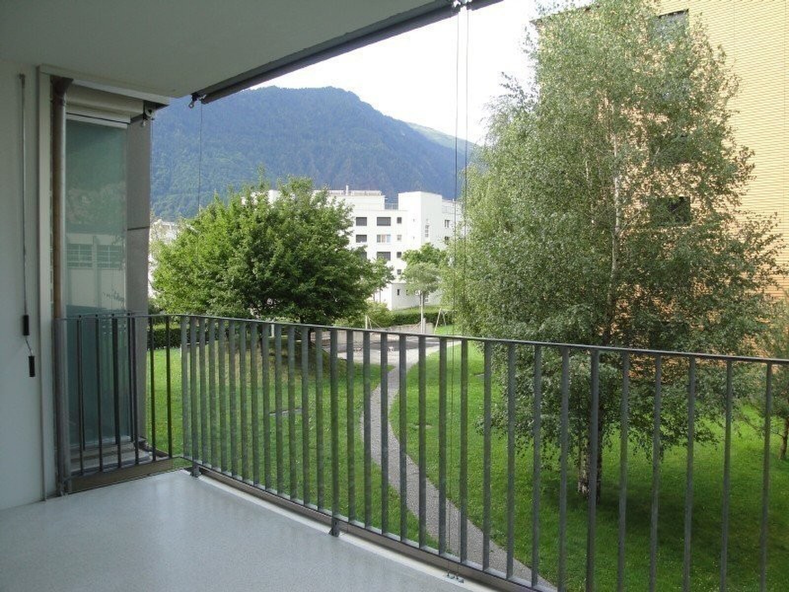 Picture 5