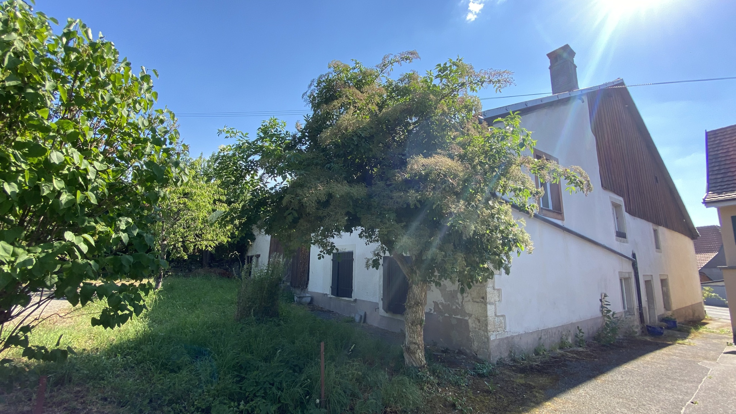 Picture 25