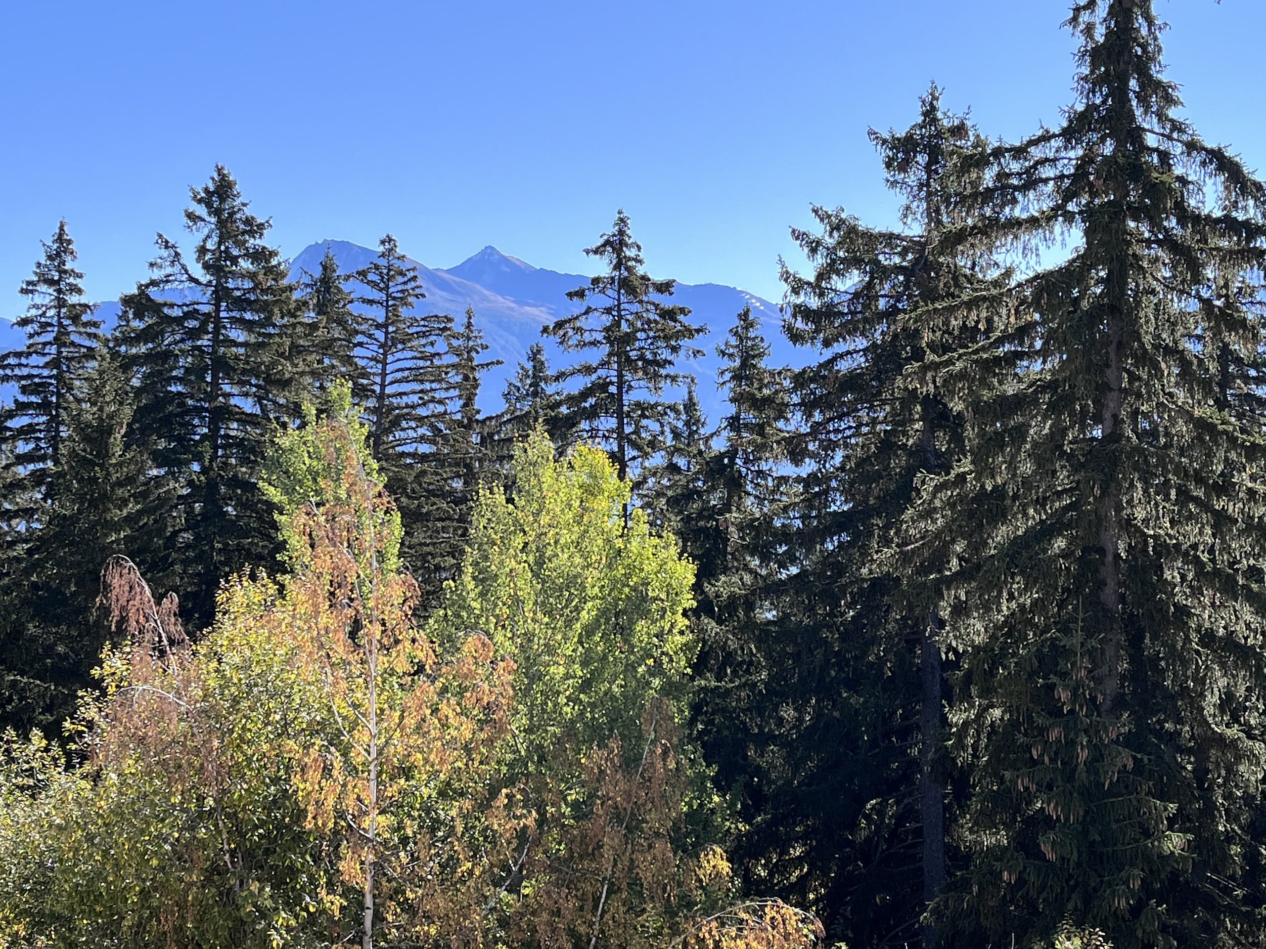 Crans-Forest B, 3.5 pièces,2ème étage 