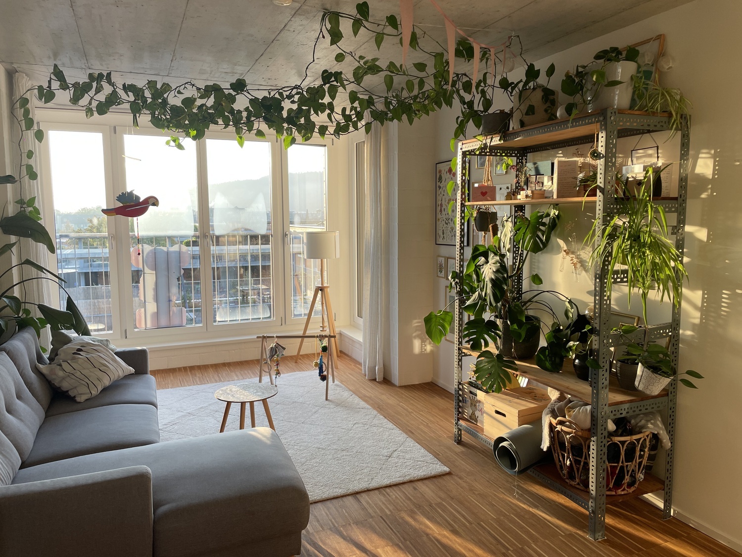 Immagine di copertina