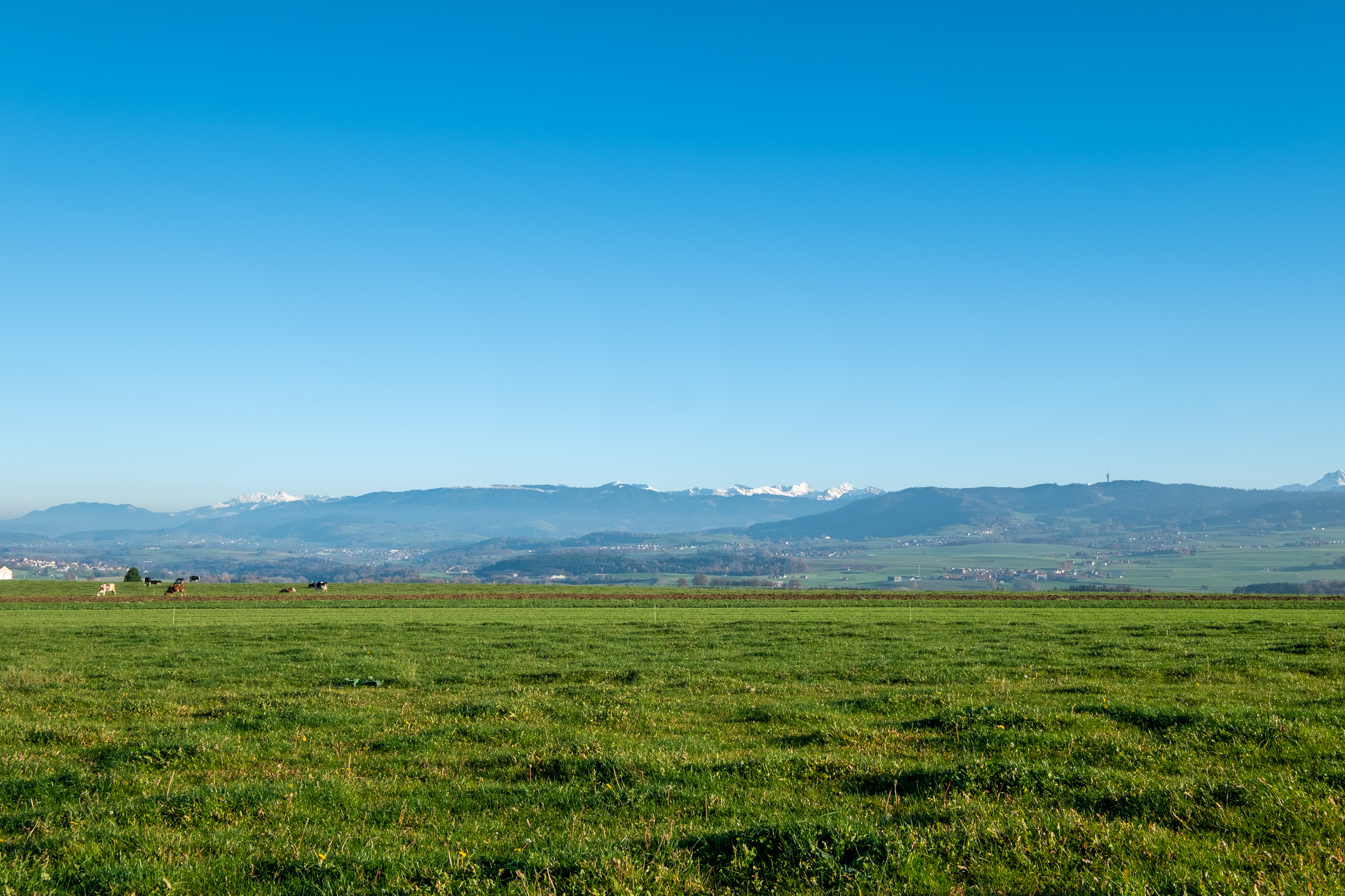 Projet immobilier à Villarimboud avec maisons et Domespace à vendre : la région.