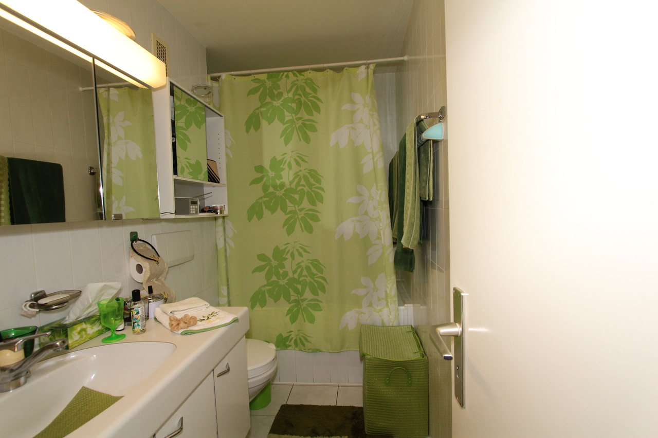 salle de bain WC lavabo salle de bain WC lavabo