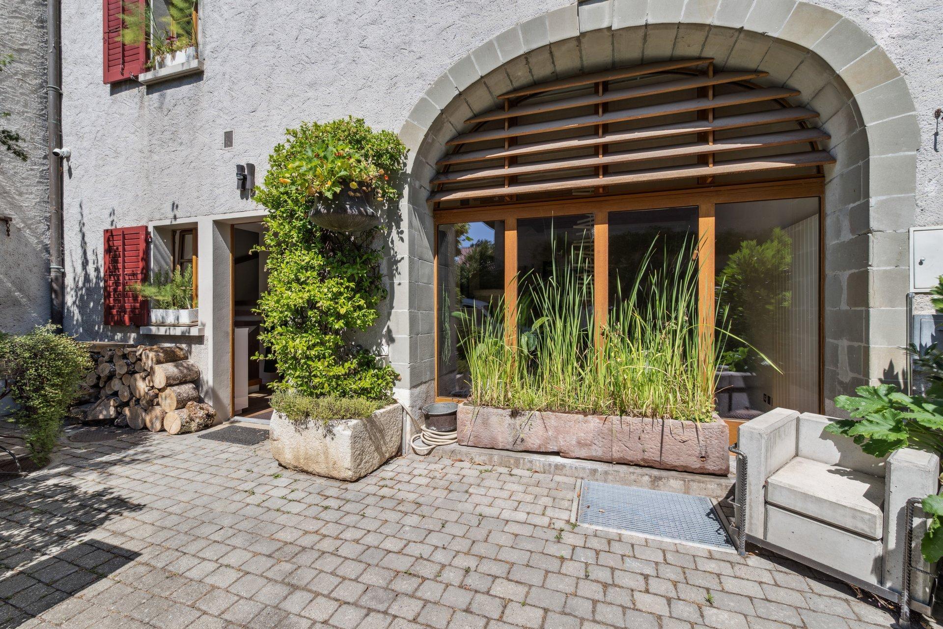 Immagine di copertina