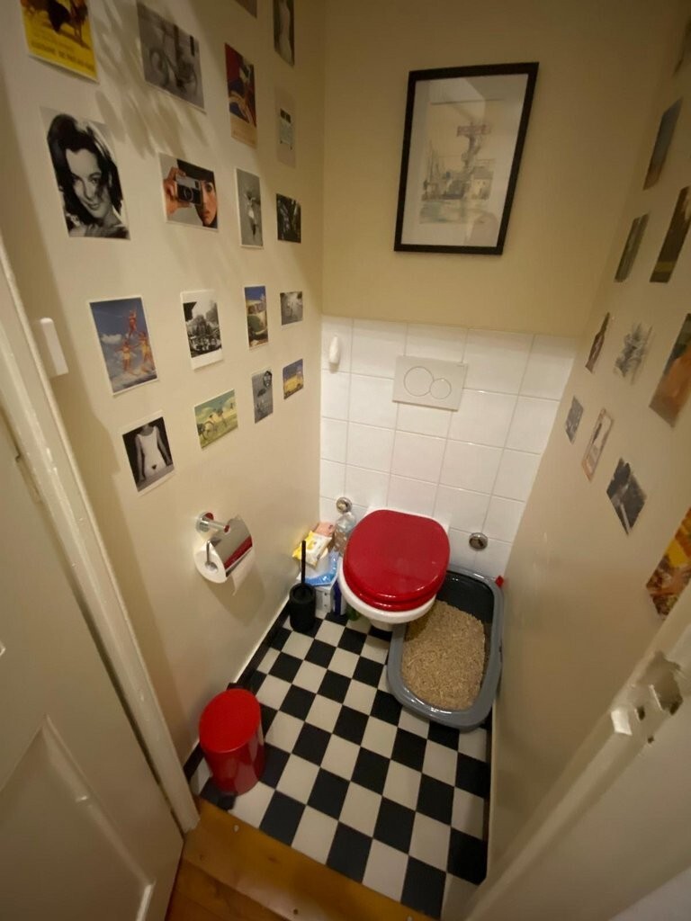 Foto 7
