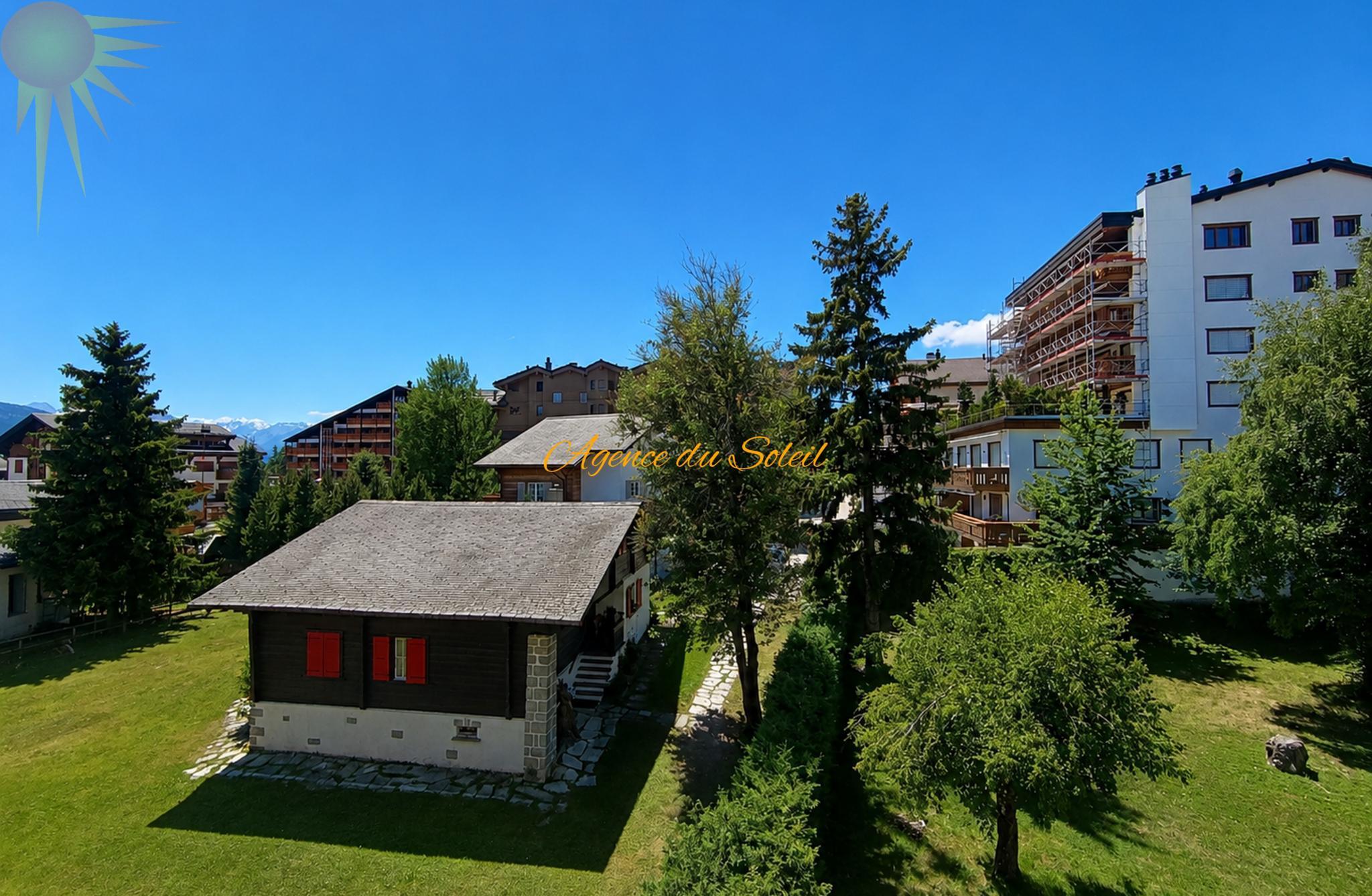 Photo 6